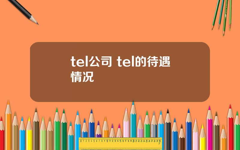 tel公司 tel的待遇情况